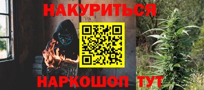 шишки Заводоуковск