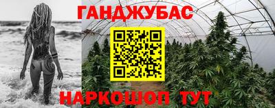 шишки Заводоуковск