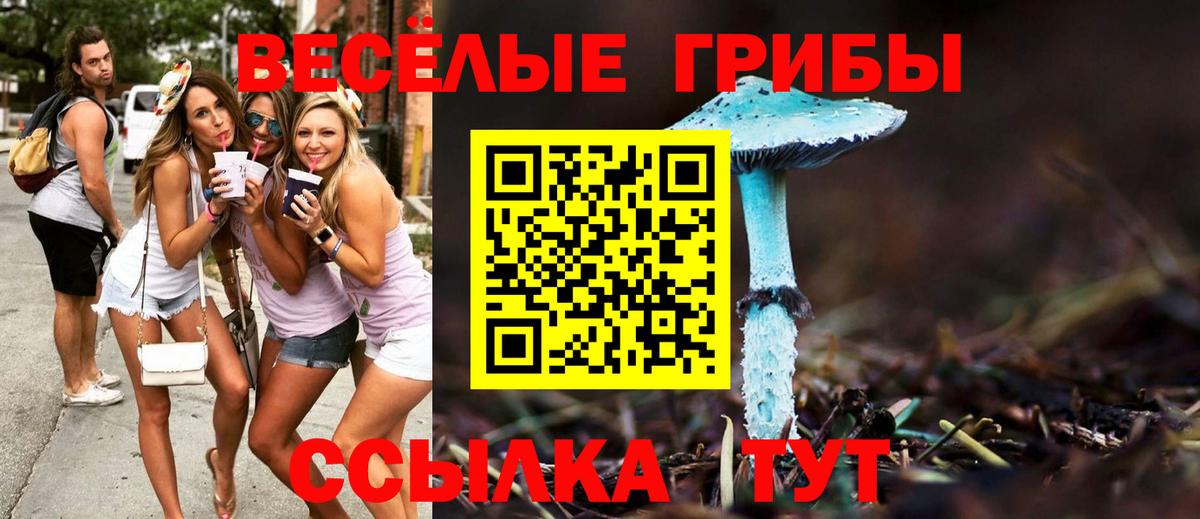 Арсеньев  Галлюциногенные грибы Cubensis  Вход с VPN 